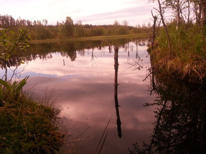 Stängselmosstjärnen i vad som verkar vara gryning eller skymning men som i själva verket bara är Stängselmosstjärnen sedd genom en annan vitbalans.