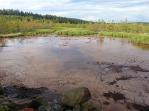 Vattfallsgropen. Kameran fångar inte riktigt rödheten i vattnet.