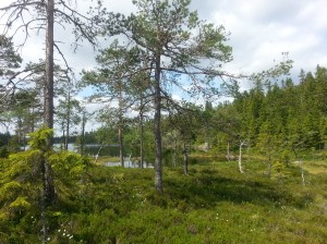 Här förstod vi att vi var framme. Sekunden senare ringde F sitt videosamtal.