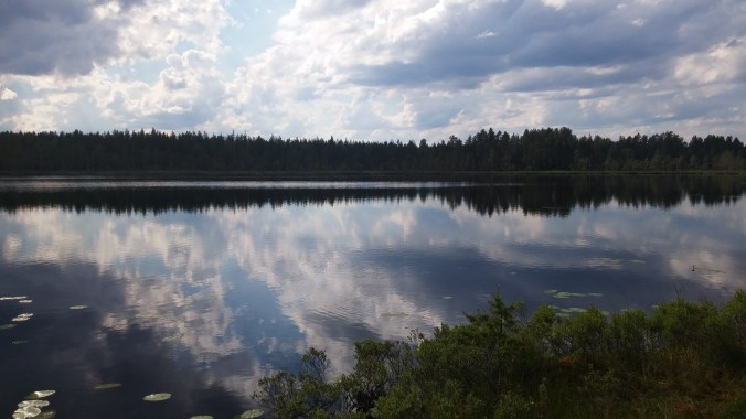 Vittjärn klockan 17 en julieftermiddag. Foto: F.