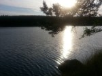 Klysningen