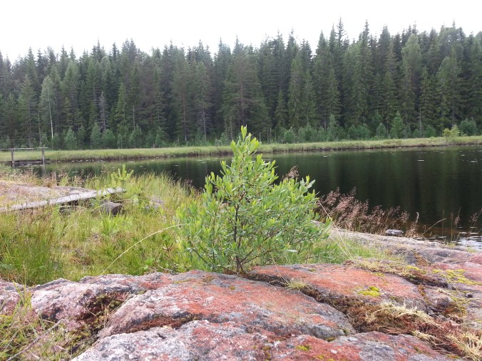 Lilla Prästtjärnen
