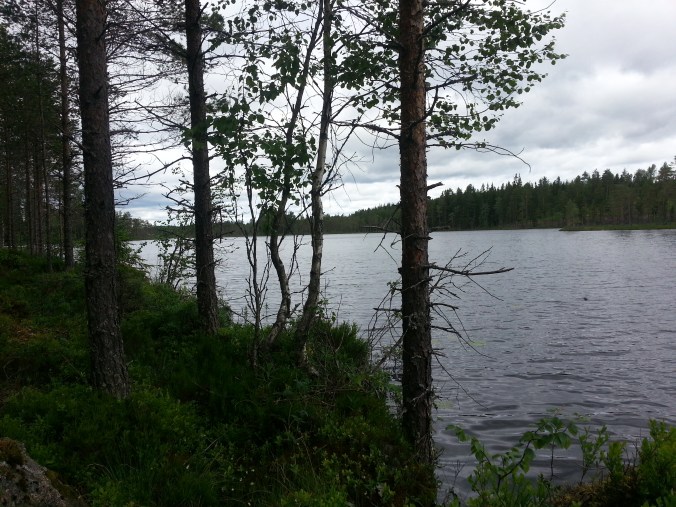 En bild tagen i all hast under flykten från knotten