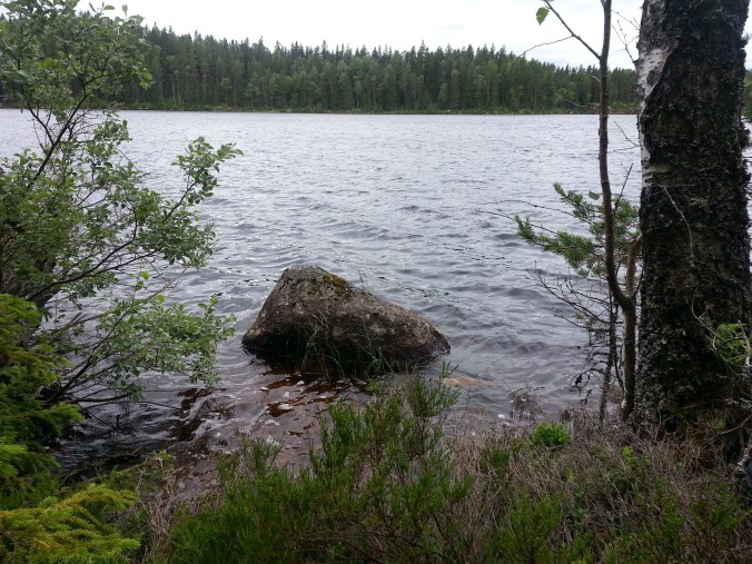 20150707_152107