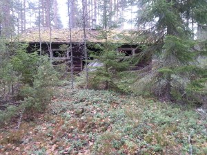 20151031_124848