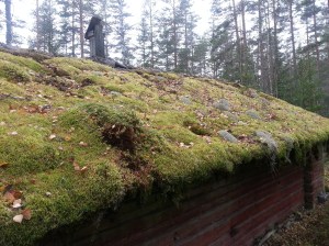 20151031_125027