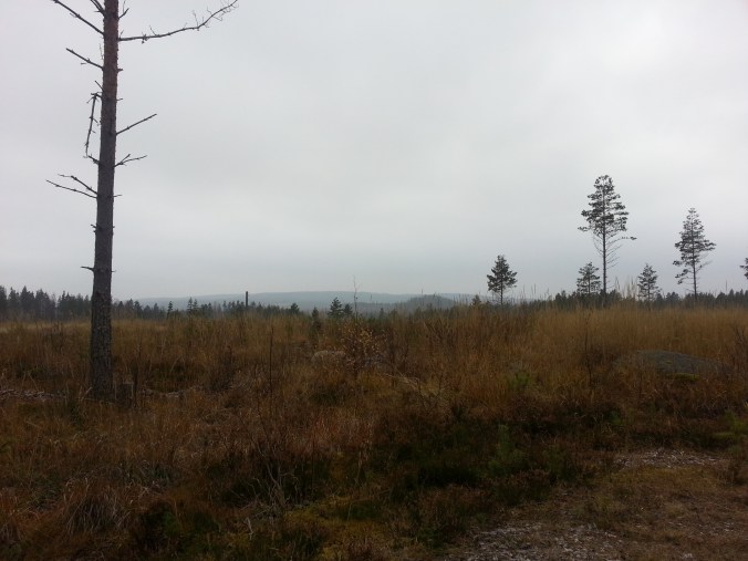 20151031_131524