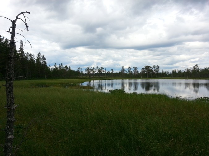 20150712_154307