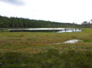 20150712_154714