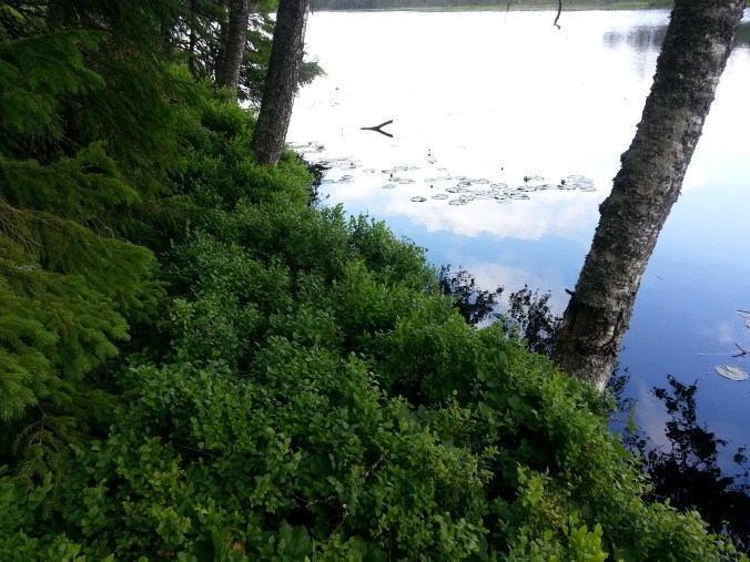 20150712_164229