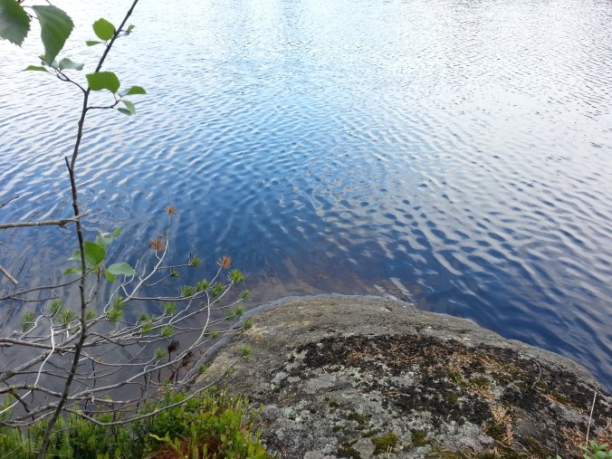20150712_164425