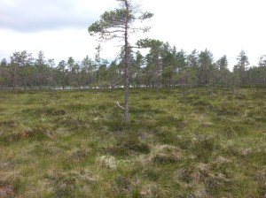 20150712_163003