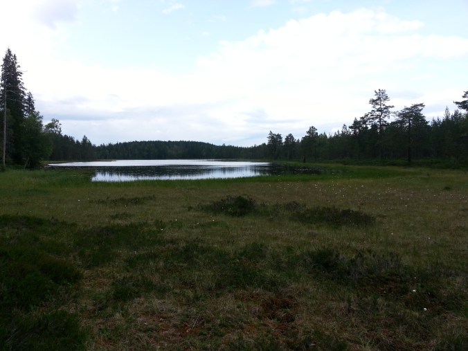 20150712_164036