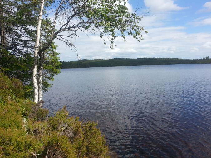 20150806_133726