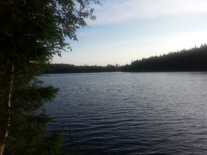 20150804_190846