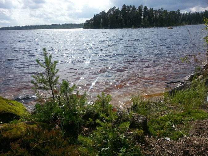20150806_145009