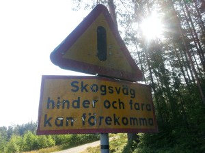 20140726_083108