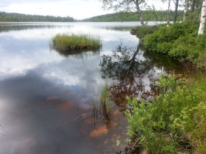 20150806_160129