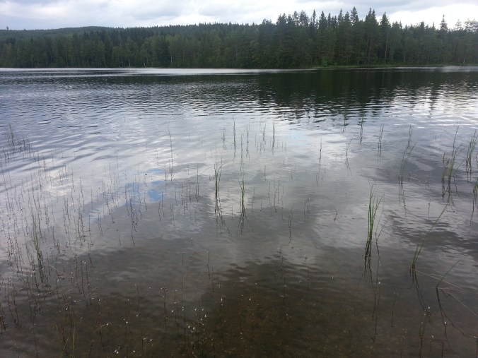 20150806_173737
