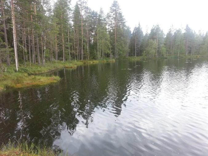20150806_174945