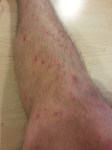 20150704_212905