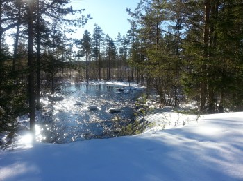 20160227_110902