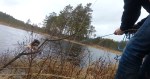 Håjen
