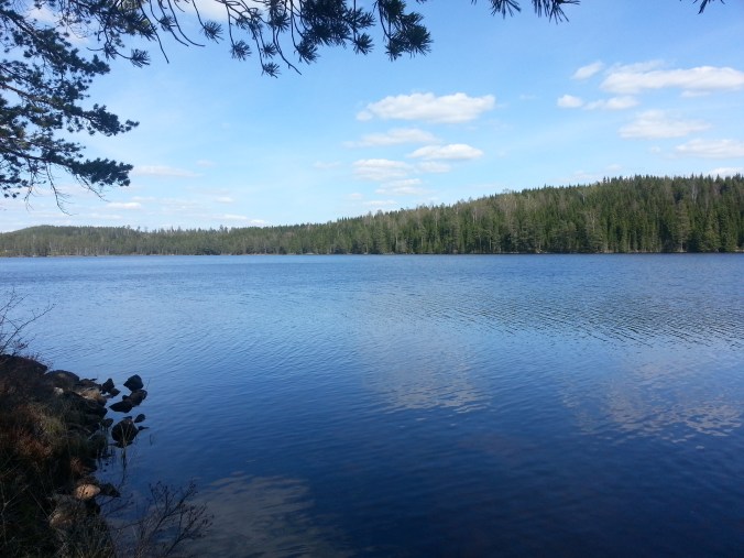 20160507_142702