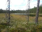 20160611_155005