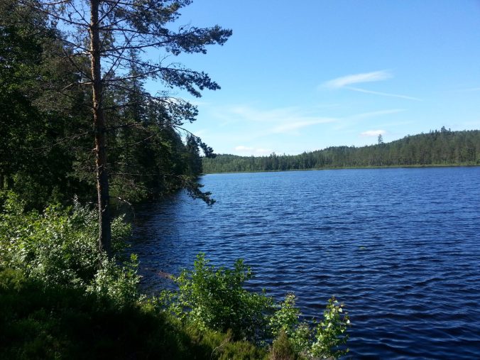 20160625_113458