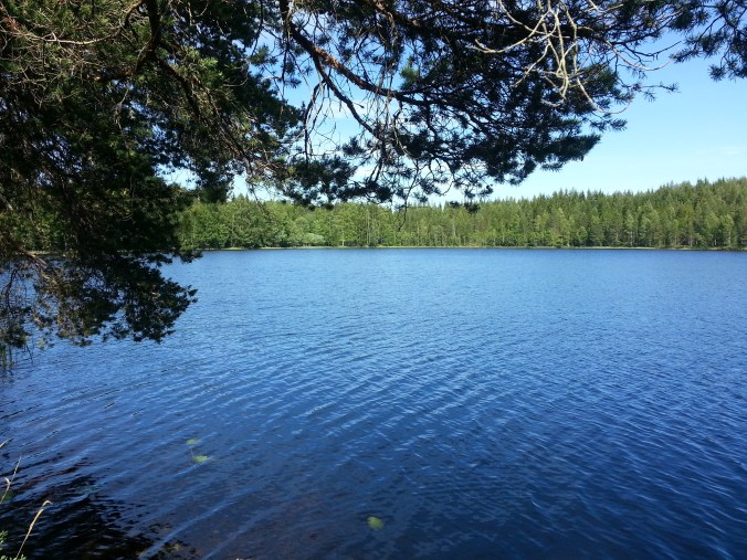20160625_155522.jpg
