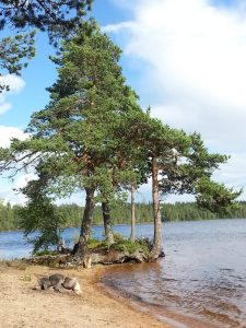 20160712_165306