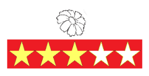 estetic-rating