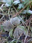 20161029_1548001