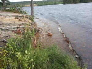 Tjärmanen