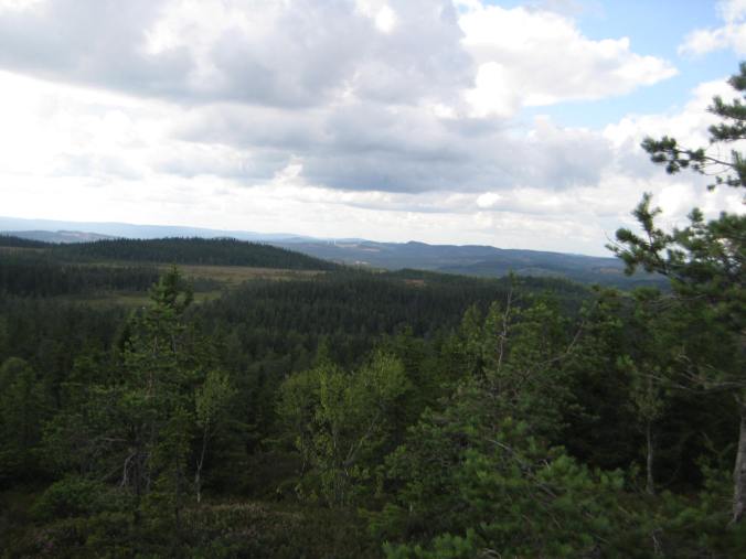 2012-08-04-08-41-11