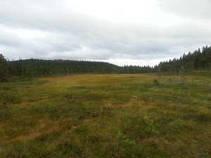 20160808_192322