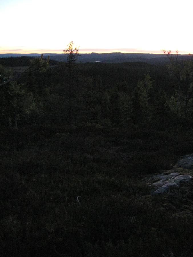 img_8005