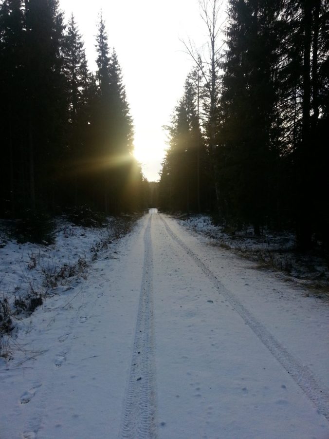 20161229_103811
