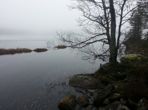 20170401_104133