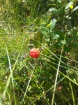20170714_160017