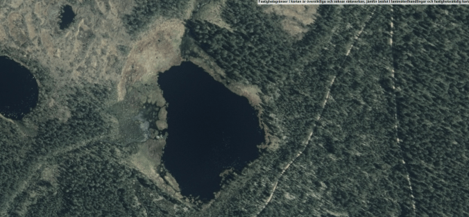 hedtjärnnu