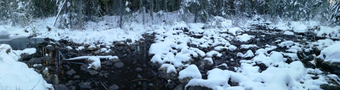 IMG_20181228_101818